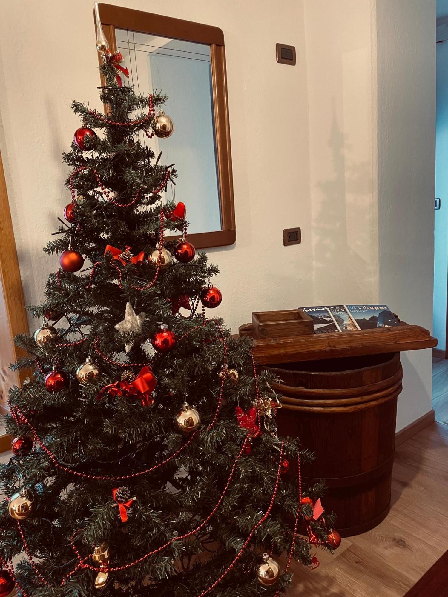Apartmán Casa Vacanze Cesco Resia San Pietro di Cadore Exteriér fotografie